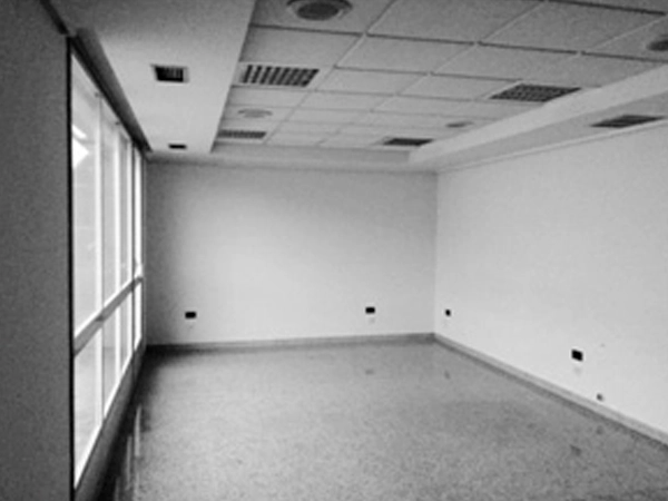 Descargar Ai Studio Store Catálogo